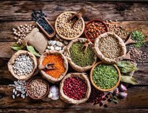 Comment la Certification Végétale Ouvre les Portes des Grandes Chaînes, des Marchés d’Exportation et des Investisseurs